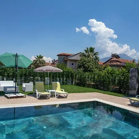 Tanir * Φετιγιέ